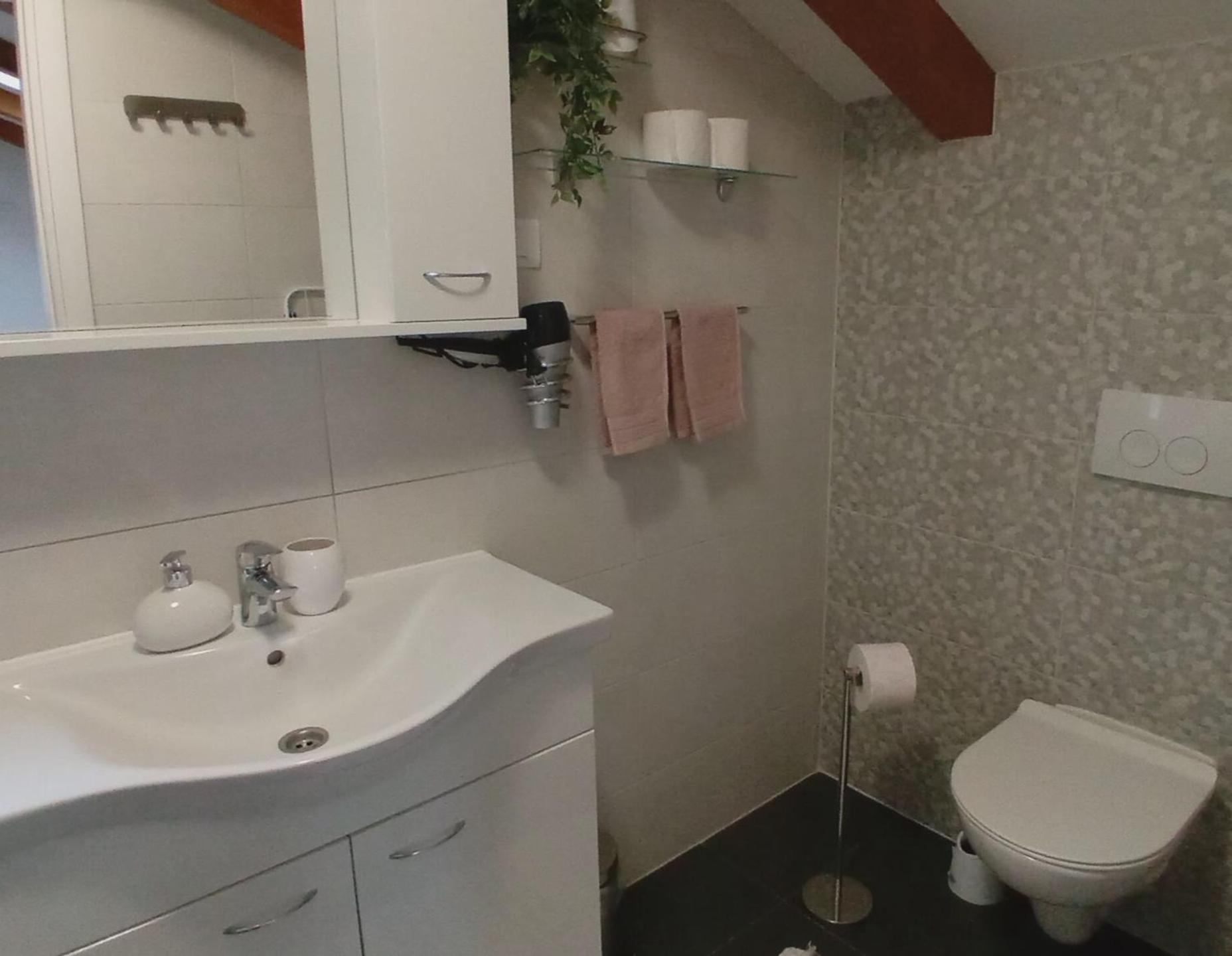 Apartman Diana,Free Parking PUY 외부 사진